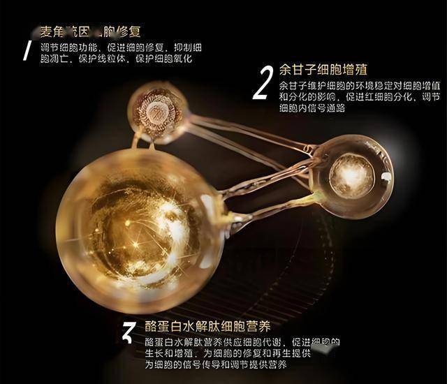 XM外汇平台监管数个“第一”！中国创新取得重大突破